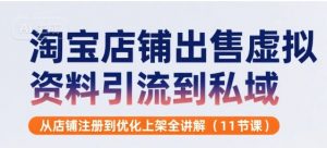 淘宝店铺出售虚拟资料引流到私域，从店铺注册到优化上架全讲解(11节课)-风淘社