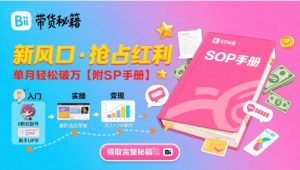 B站哔哩哔哩带货秘籍,新风口,抢占红利,单月轻松破万【附SOP手册】-风淘社