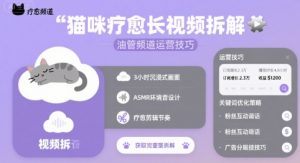 猫咪疗愈长视频拆解 &油管频道运营技巧-风淘社