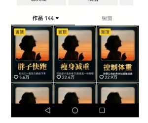 超高变现的短视频减肥细分赛道,减肥账号抖音实战训练营-风淘社
