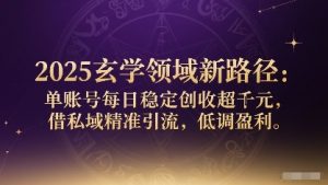 2025玄学领域新路径：单账号每日稳定创收1k+，借私域精准引流，低调盈利-风淘社