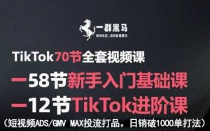 TikTok全套视频课,新手入门+进阶课,短视频ADS-GMV MAX投流打品,日销破1000单打法-风淘社