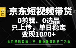 你出账号,我来运营,保底日入1k+,开启躺賺模式【揭秘】-风淘社