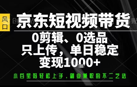 你出账号,我来运营,保底日入1k+,开启躺賺模式【揭秘】-风淘社