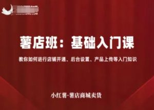 小红薯薯店商城卖货，基础入门课，教你如何进行店铺开通、后台设置、产品上传等入门知识-风淘社