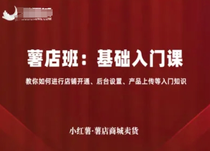 小红薯薯店商城卖货,基础入门课,教你如何进行店铺开通、后台设置、产品上传等入门知识-风淘社
