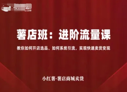 小红薯薯店商城卖货,进阶流量课,教你如何开店选品、如何系统引流,实现快速卖货变现-风淘社