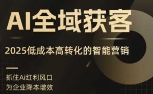 AI全域获客实训营，2025低成本高转化的智能营销，精准找客，高效营销-风淘社