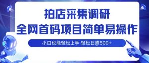 拍店采集调研,全网首码项目,简单易操作, 小白也能轻松上手,多账号操作,轻松日入5张【揭秘】-风淘社