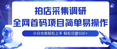 拍店采集调研,全网首码项目,简单易操作, 小白也能轻松上手,多账号操作,轻松日入5张【揭秘】-风淘社