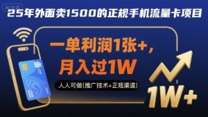 25年外面卖1500的正规手机流量卡项目,一单利润1张+,月入过1W,人人可做(推广技术+正规渠道)【揭秘】-风淘社