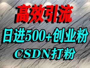 怎么打创业粉?CSDN又一个你不知道的打粉引流神秘平台,单人日引500+精准流量-风淘社
