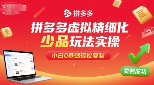 拼多多虚拟精细化少品玩法实操,小白0基础轻松复制-风淘社