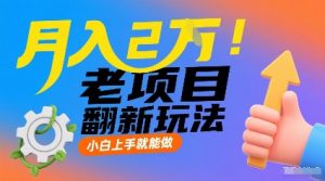 月入2W！老项目翻新玩法，小白上手就能做，非常容易上手-风淘社