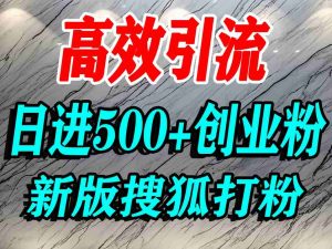 怎么打创业粉？搜狐网打精准创业粉，打粉引流教程，单人日引500+精准创业粉-风淘社