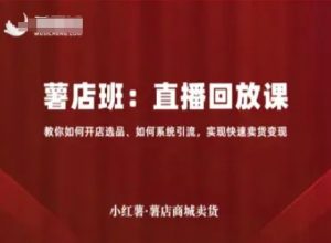 小红薯薯店商城卖货直播回放课,教你如何开店选品、如何系统引流,实现快速卖货变现-风淘社