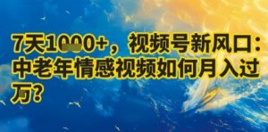 7天收益1k+，视频号新风口：中老年情感视频如何月入过W?-风淘社