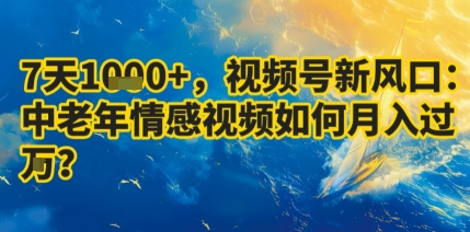 7天收益1k+，视频号新风口：中老年情感视频如何月入过W?-风淘社