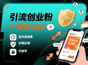 引流创业粉，一天引100+，当天出效果，长期正规，不废号-风淘社