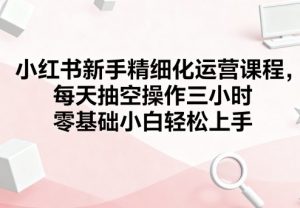 小红书新手精细化运营课程,每天抽空操作三小时,零基础小白轻松上手-风淘社