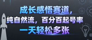 成长感悟赛道，纯自然流，百分百起号率 一天轻松多张-风淘社