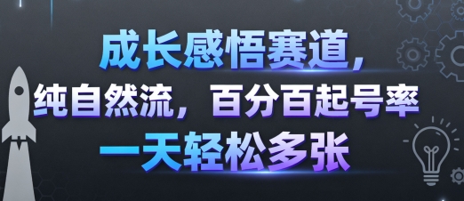 成长感悟赛道,纯自然流,百分百起号率 一天轻松多张-风淘社