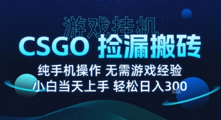 8月最新游戏搬砖，CSGO纯挂G，不需要玩游戏，实现真挂G，月入1W+【揭秘】-风淘社