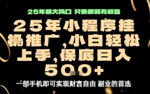 微信小程序挂G推广,解放双手,保底日入5张【揭秘】-风淘社