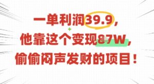 一单利润39.9，有人靠这个变现几十个，偷偷闷声发财的项目-风淘社