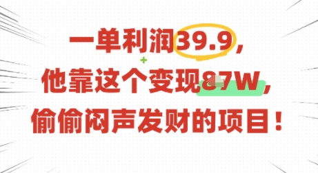 一单利润39.9，有人靠这个变现几十个，偷偷闷声发财的项目-风淘社