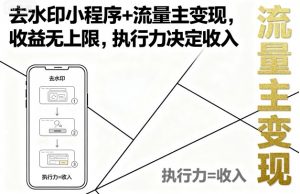 去水印小程序+流量主变现，收益无上限，执行力决定收入-风淘社