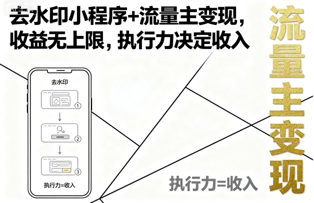 去水印小程序+流量主变现，收益无上限，执行力决定收入-风淘社