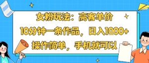 女粉玩法：高客单价，10分钟一条作品，日入1k+操作简单，手机就可以-风淘社