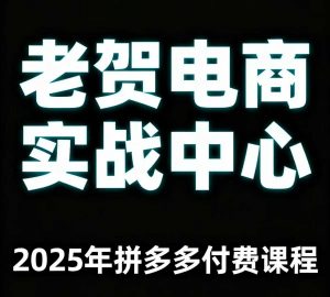 老贺电商2025年拼多多付费课程，用通俗易懂的方法告诉你多多怎么玩-风淘社