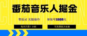 番茄音乐人掘金,单账号最高可撸1k+,可无限矩阵去做,零投入-风淘社