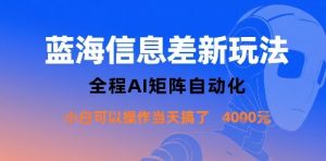 蓝海信息差新玩法,全程AI矩阵自动化小白可以操作当天搞了1k+-风淘社