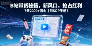 B站带货秘籍,新风口,抢占红利,7天2k+佣金【附SOP手册】-风淘社
