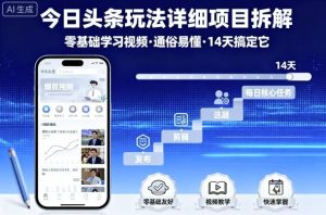 今日头条玩法详细项目拆解,零基础学习视频 通俗易懂 14天搞定它-风淘社