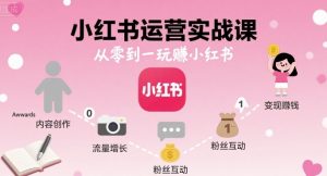 小红书运营实战课,从零到一玩賺小红书-风淘社