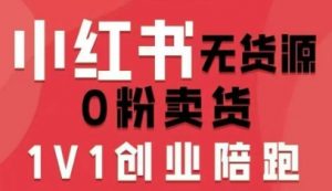 小红书无货源0粉电商课，开店准备、选品策略、笔记撰写、视频剪辑、数据分析、账号打造、资料文档-风淘社