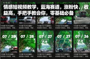 情感短视频教学，蓝海赛道，涨粉快，收益高，手把手教会你，零基础必备-风淘社