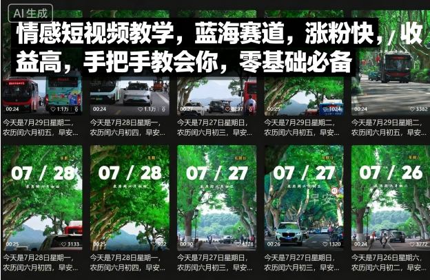 情感短视频教学,蓝海赛道,涨粉快,收益高,手把手教会你,零基础必备-风淘社
