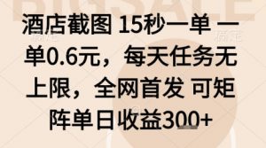 酒店截图项目,15秒一单,一单0.6米,每天任务无上限,全网首发可矩阵单日收益3张+【揭秘】-风淘社