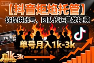 【抖音炬焰托管】你提供账号,团队代运营发视频,单号月入1k+【揭秘】-风淘社