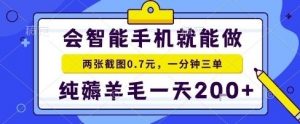 手机项目，二十秒一单，纯薅羊毛一天2张+做就有【揭秘】-风淘社