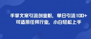 手掌文案引流创业粉,单日引流100+,可适用任何行业,小白轻松上手-风淘社