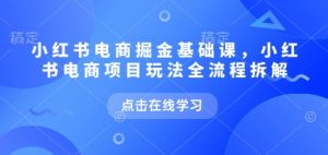 小红书电商掘金课,小红书电商项目玩法全流程拆解(更新9月)-风淘社