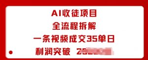 AI收徒项目全流程拆解一条视频成交35单日利润突破1k+-风淘社