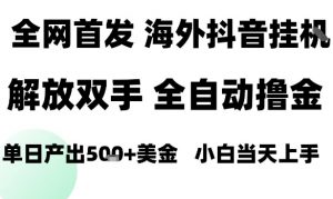 海外抖音无人直播,单日产出1.5k+,长期稳定,新手可玩,无脑操作【揭秘】-风淘社