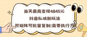 当天最高变现1k+，抖音私域新玩法，可矩阵可批量复制-风淘社